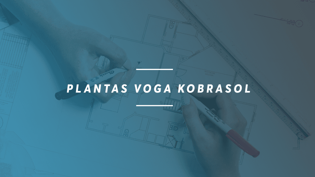 Conheça as plantas do Voga Kobrasol